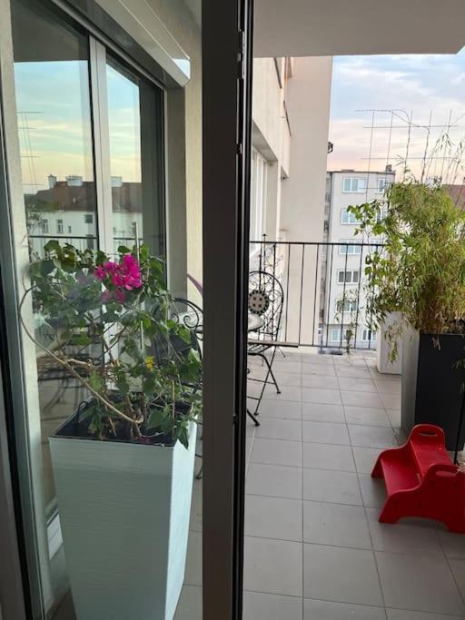 Apartment In Historical Center With Park View Pilzno Zewnętrze zdjęcie