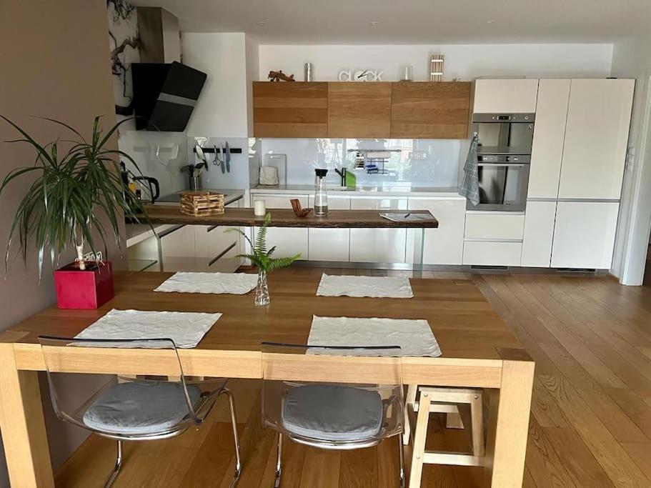 Apartment In Historical Center With Park View Pilzno Zewnętrze zdjęcie