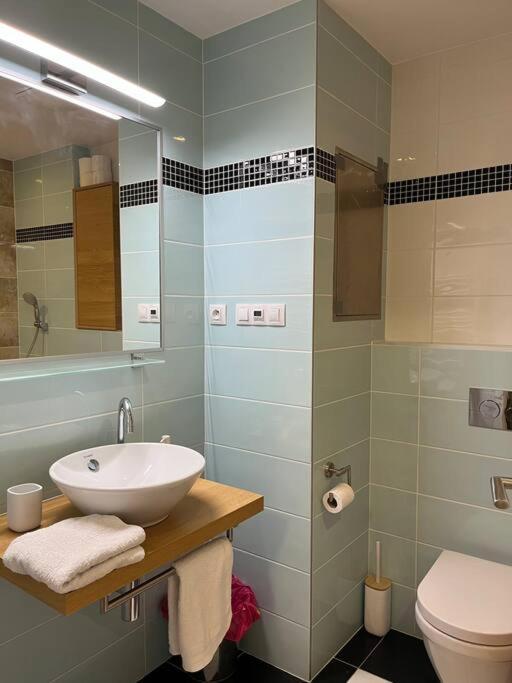 Apartment In Historical Center With Park View Pilzno Zewnętrze zdjęcie