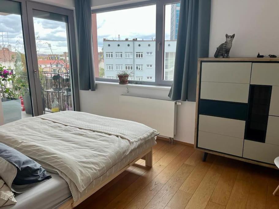 Apartment In Historical Center With Park View Pilzno Zewnętrze zdjęcie