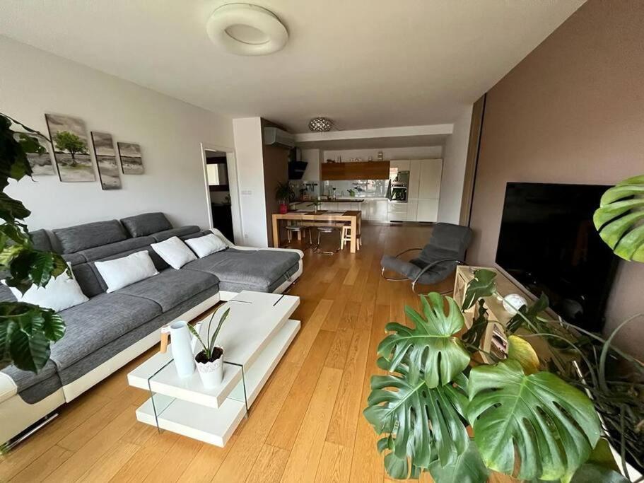 Apartment In Historical Center With Park View Pilzno Zewnętrze zdjęcie